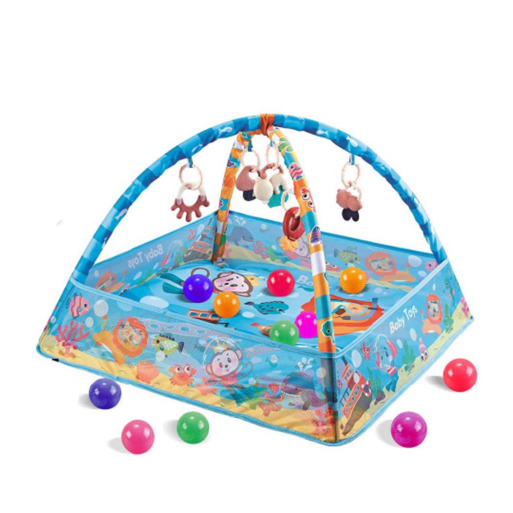 Baby Activity Gym & Ball Pit Play Mat