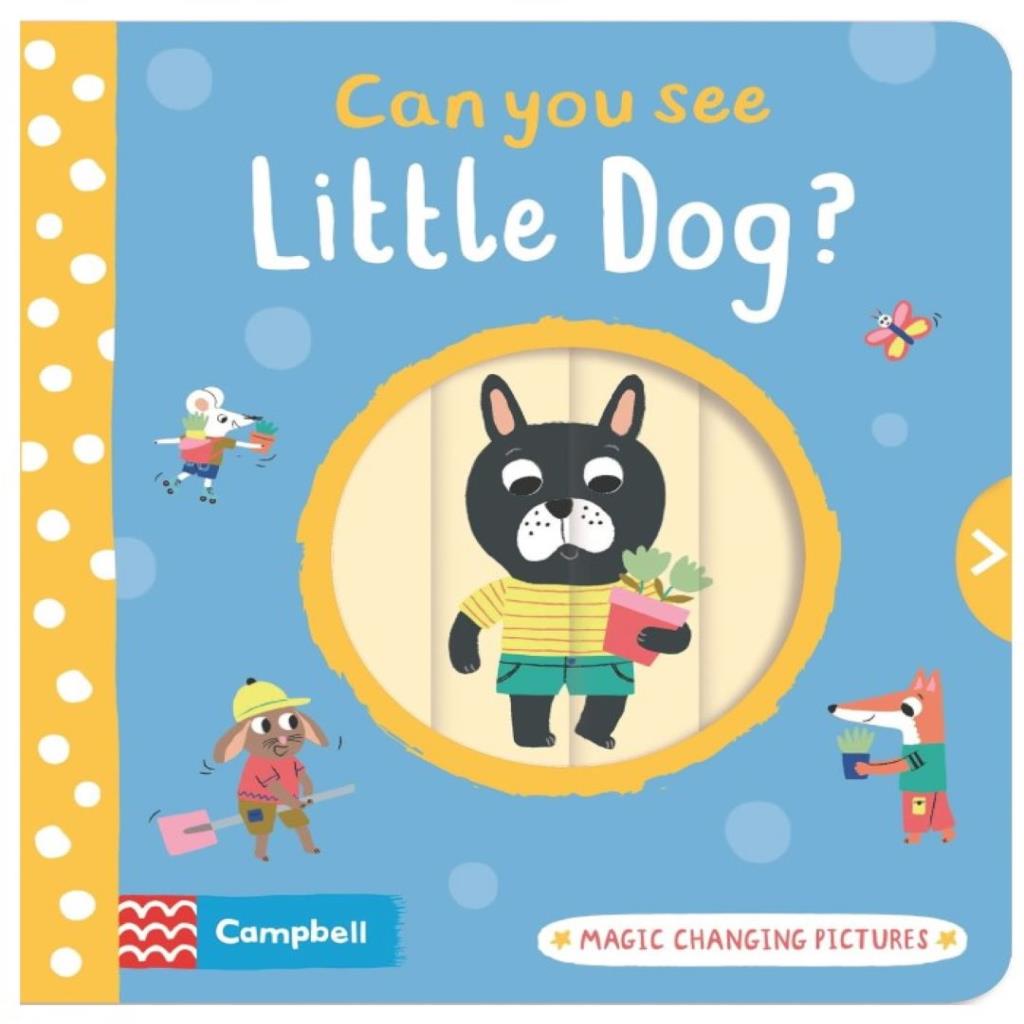 Can You See Little Dog?