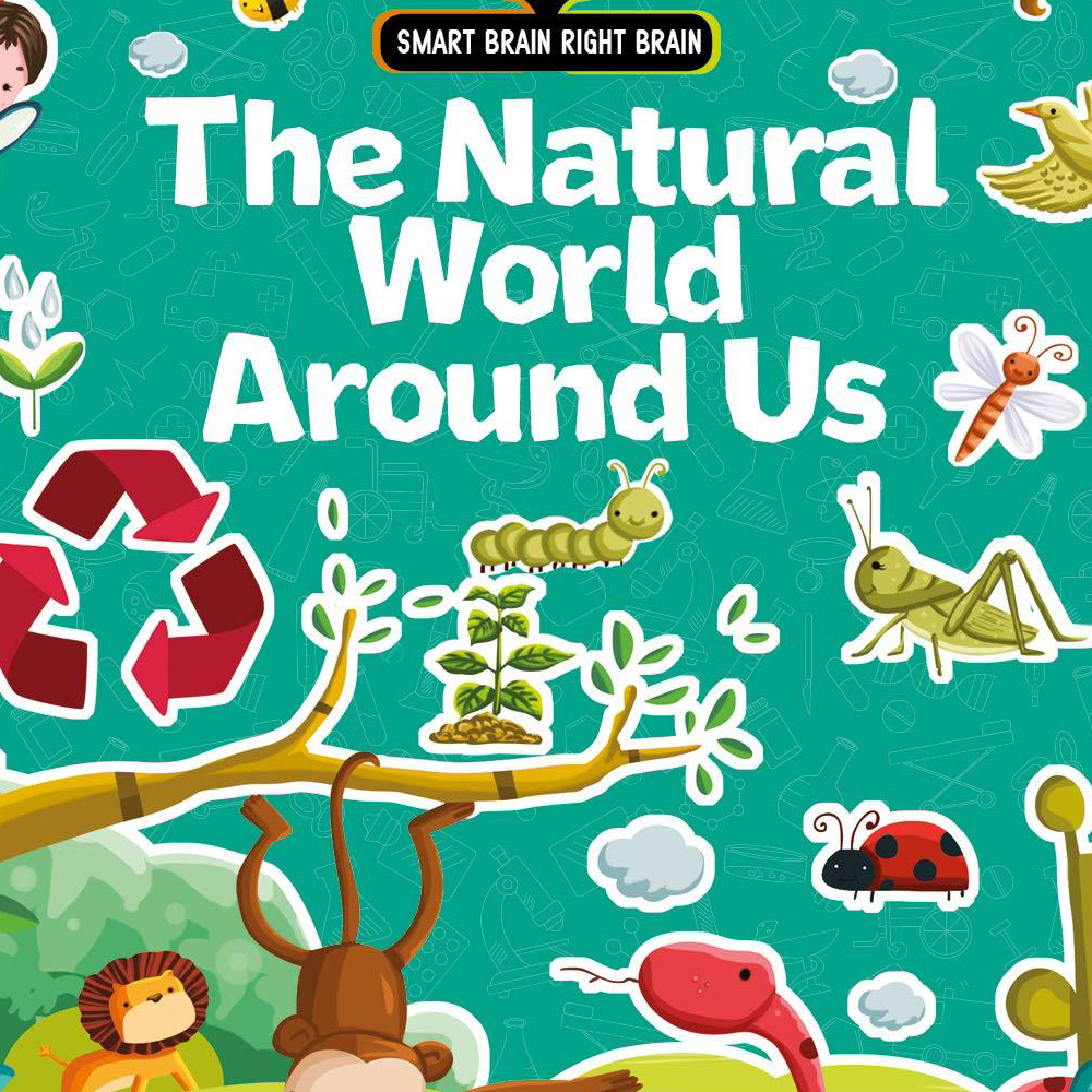 book Smart Brain Right Brain Science Level 3 : The Natural World Around Us
